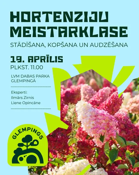 hortenz.webp