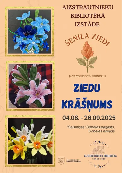 aizstrautnieku-bibl.webp