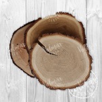 Wooden puck