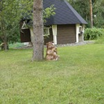 Piknikplätze