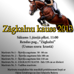 Riding sport - show jumping