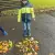 img-20251027-wa0094.webp