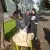 20260902-101200.webp