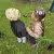 img-20260902-wa0066.webp