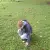 img-20260902-wa0096.webp