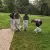 img-20250903-wa0039.webp