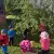 img-20260911-wa0030.webp