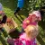 img-20260911-wa0035.webp