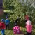 img-20260911-wa0037.webp