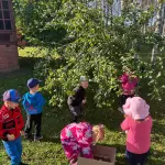 img-20260911-wa0030.webp