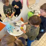 img-20260911-wa0031.webp