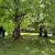 img-20260528-wa0018.webp