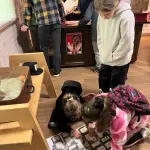 img-20260528-wa0034.webp