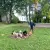 img-20251007-wa0069.webp