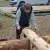 20260522-111515.webp