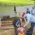 20260522-113104.webp
