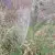 20260915-094424.webp