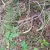 20260915-104153.webp