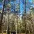 20260915-115833.webp