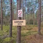 20260915-115025.webp