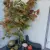 img-20250929-wa0001.webp