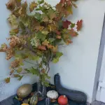 img-20250929-wa0001.webp