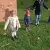 img-20260929-wa0028.webp