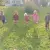 img-20260929-wa0029.webp