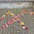 img-20260929-wa0032.webp