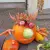 img-20260929-wa0034.webp