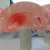 img-20260929-wa0042.webp