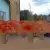 img-20260929-wa0043.webp