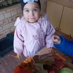 img-20260929-wa0019.webp
