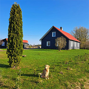 Zelta krogs, guest house