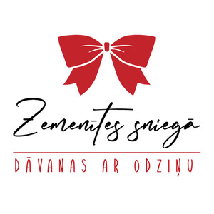 Zemenītes sniegā, internetshop
