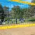 gimenes-diena-maijs-26-1.webp