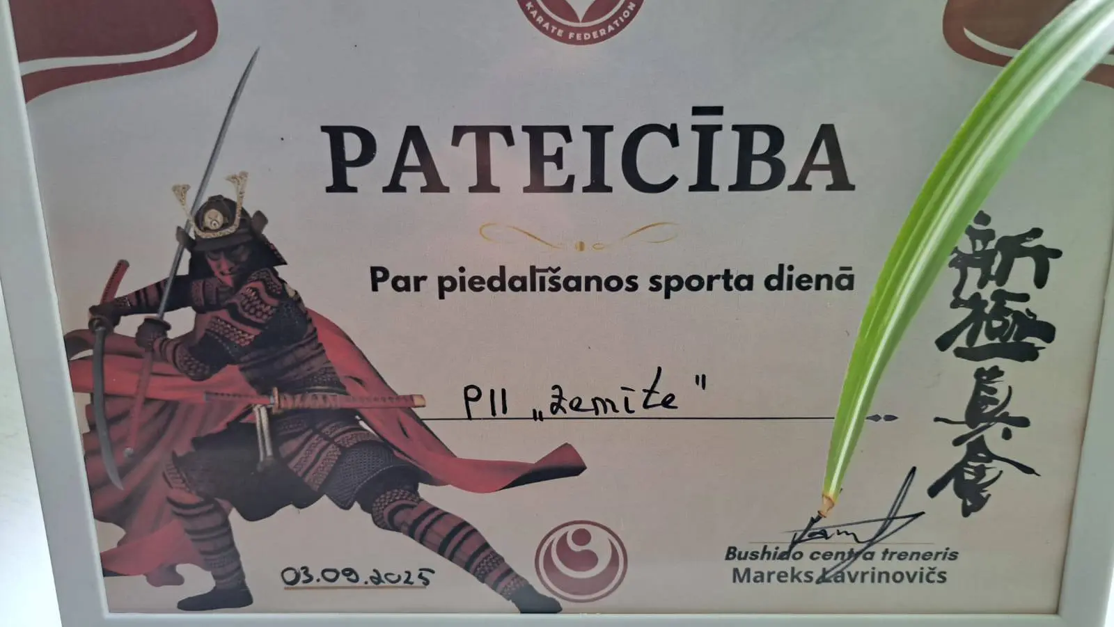 sports-5.webp