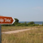Места для пикника